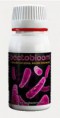 BACTOBLOOM 10gr